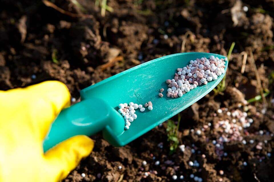 Agenti chelanti: una forza chiave per una produzione agricola sostenibile ed efficiente