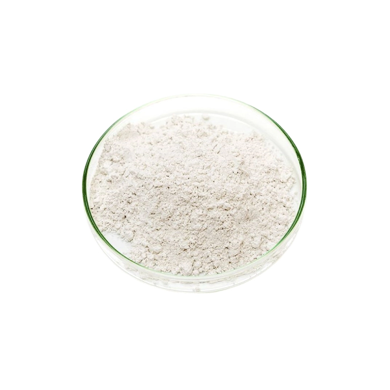 L acido aspartico (L acido aspartico)