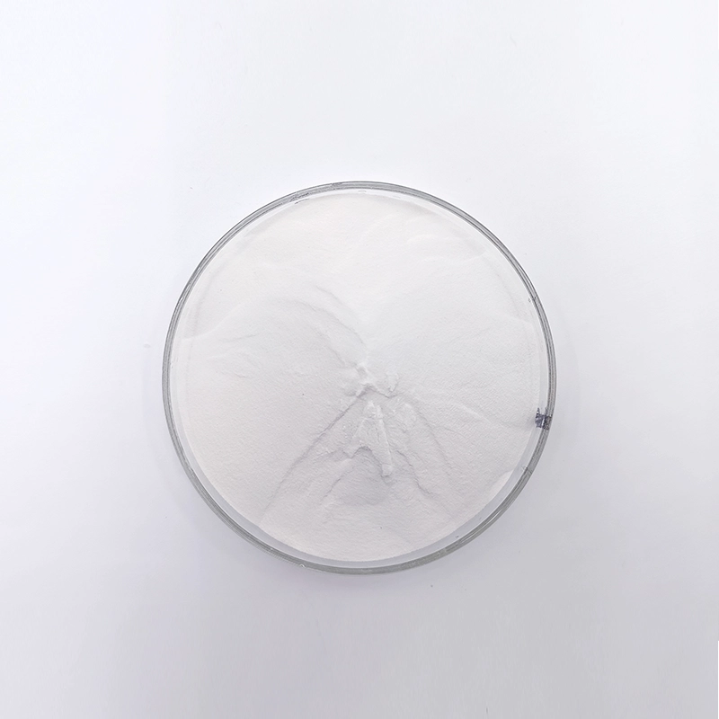 WN-601 Ritardante per gesso (WN-601)