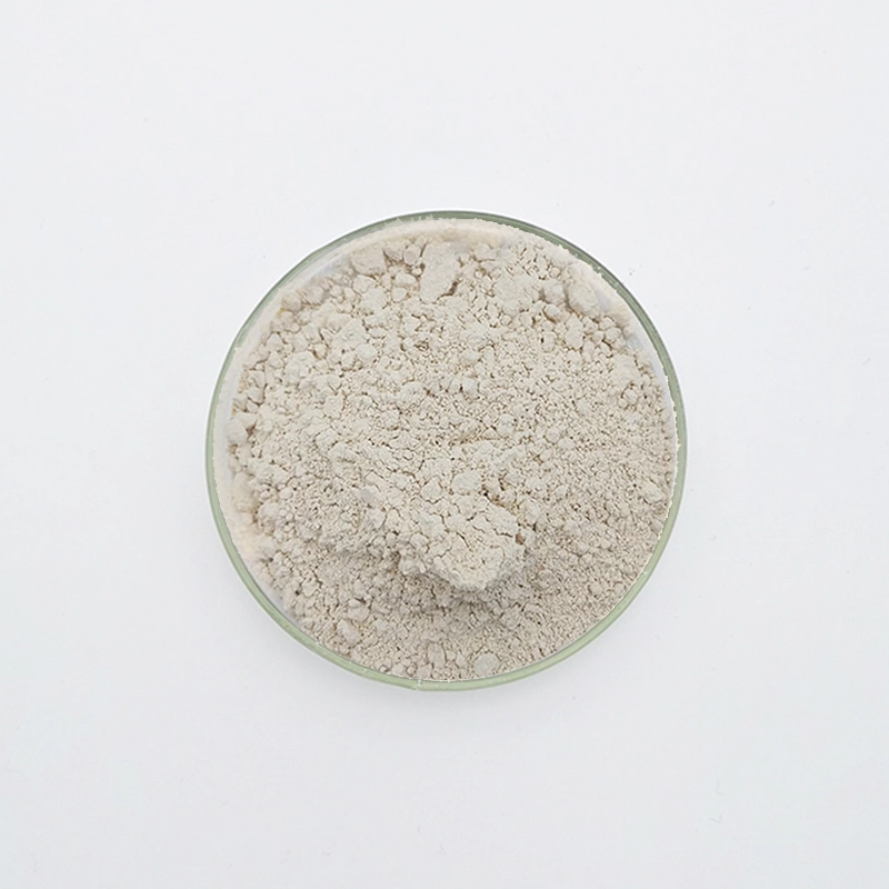 WN-721 Ritardante per gesso (WN-721)